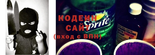 дмт Пересвет