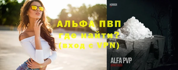 дмт Пересвет