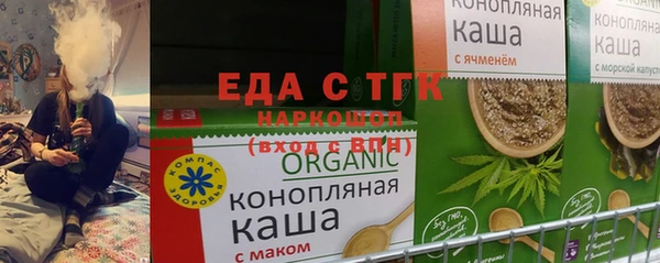 индика Гатчина