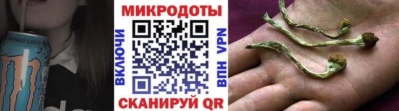 Галлюциногенные грибы Psilocybine cubensis  Нахабино 